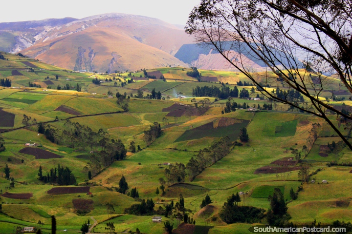 Tierra verde hermoso a medida que descendemos hacia el valle de Guaranda. (720x480px). Ecuador, Sudamerica.