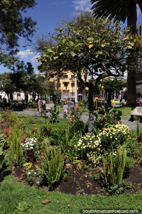 Ã�rvores e jardins em Sucre Parque em Riobamba. (480x720px). Equador, América do Sul.