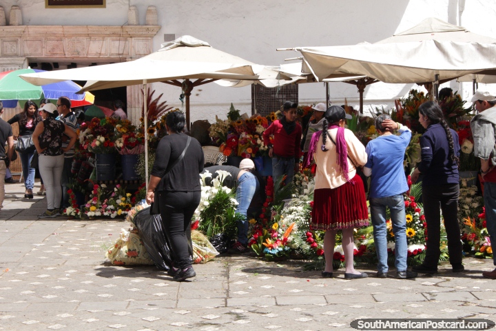 Flores de venda em Cuenca central no Praça das Flores. (720x480px). Equador, América do Sul.