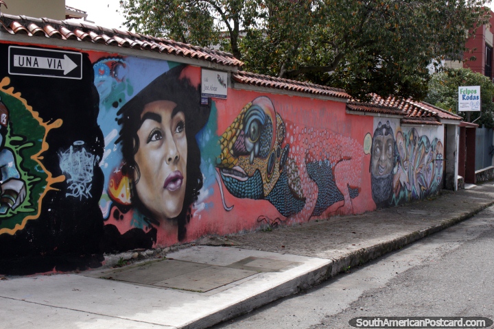 O rosto da mulher e uma iguana, mural em uma rua de Cuenca. (720x480px). Equador, Amrica do Sul.