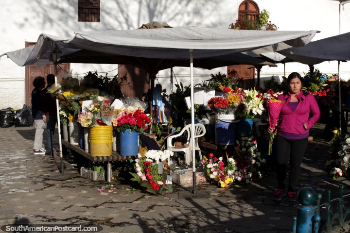 Las flores frescas todos los das en la plaza de la flor de Cuenca. (720x480px). Ecuador, Sudamerica.