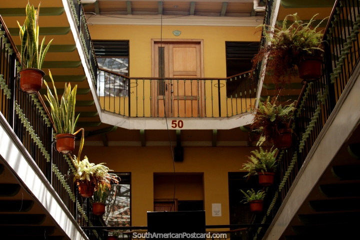 Las plantas en macetas dentro de un edificio en Cuenca, una foto de la simetra. (720x480px). Ecuador, Sudamerica.
