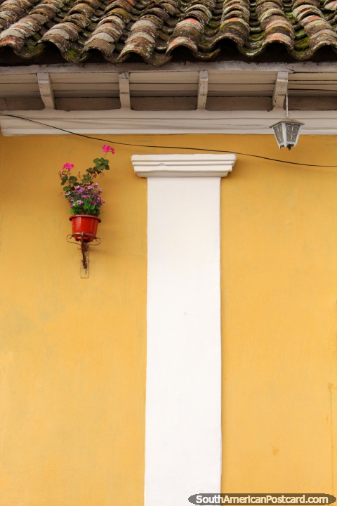 Flowers in a pot and a lamp under a tile roof in Pujili. (480x720px). Ecuador, South America.
