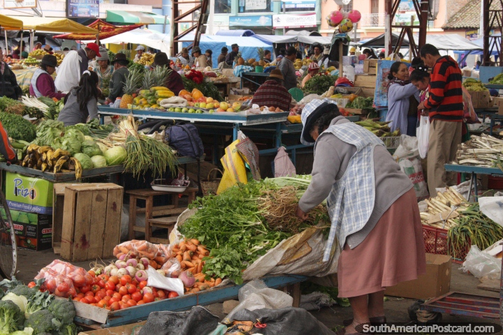 A woman sets up her vegetable stand at the Pujili market. (720x480px). Ecuador, South America.