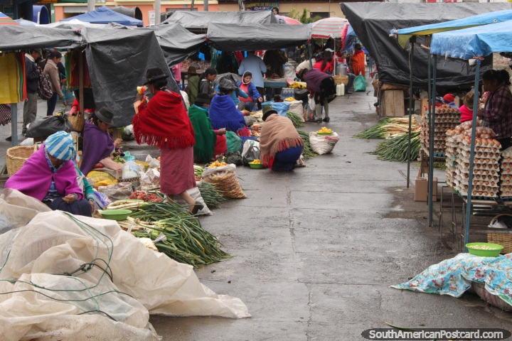 Eggs and spring onions for sale at the market in Pujili. (720x480px). Ecuador, South America.