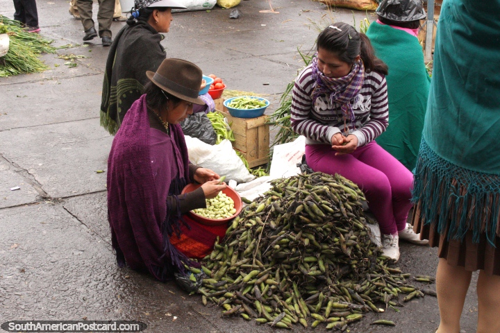 Quechua mujer cscaras de judas verdes en el mercado de Pujil. (720x480px). Ecuador, Sudamerica.