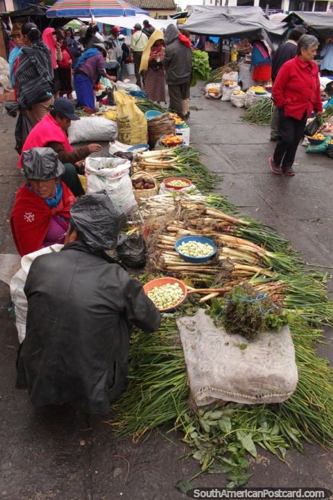 Las cebollas, habas, patatas y pimientos en Pujil mercado cerca de Latacunga. (480x720px). Ecuador, Sudamerica.