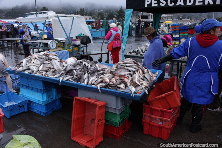 O peixe expõe-se em mesas temporárias no mercado de Saquisili. (720x480px). Equador, América do Sul.