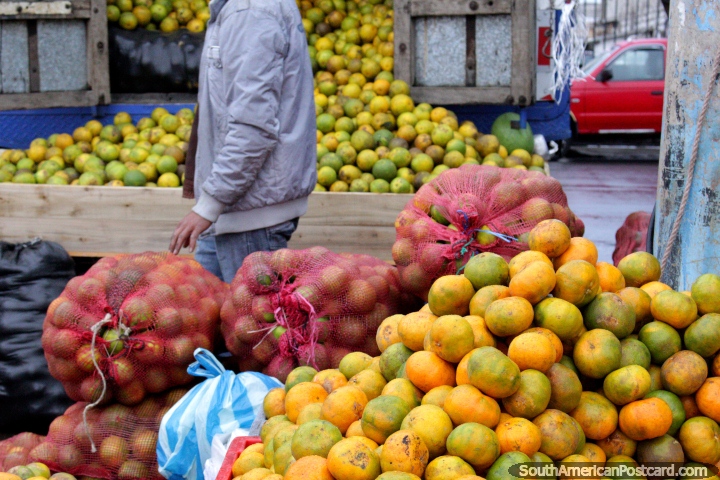 Um caminhão transborda com laranjas que esvaziam as costas no mercado de Saquisili. (720x480px). Equador, América do Sul.