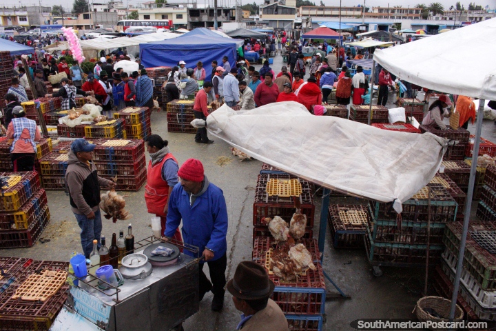 Praça Vicente Rocafuerte, o mercado dos animais vivo em Saquisili. (720x480px). Equador, América do Sul.
