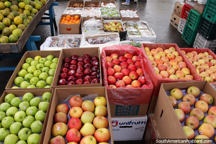 Una buena variedad de manzanas de todos los colores en el mercado de Saquisilí. (720x480px). Ecuador, Sudamerica.