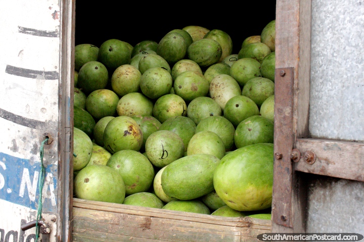 Um caminhão que explode com melancias chega ao mercado de Saquisili. (720x480px). Equador, América do Sul.