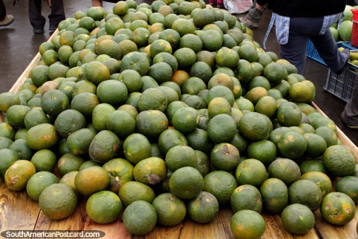 As laranjas ou talvez a toranja expõem-se em uma mesa no mercado de Saquisili. (720x480px). Equador, América do Sul.