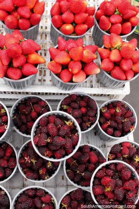 Boysenberries e morangos, tudo do qual precisamos agora  alguma nata, Saquisili. (480x720px). Equador, Amrica do Sul.