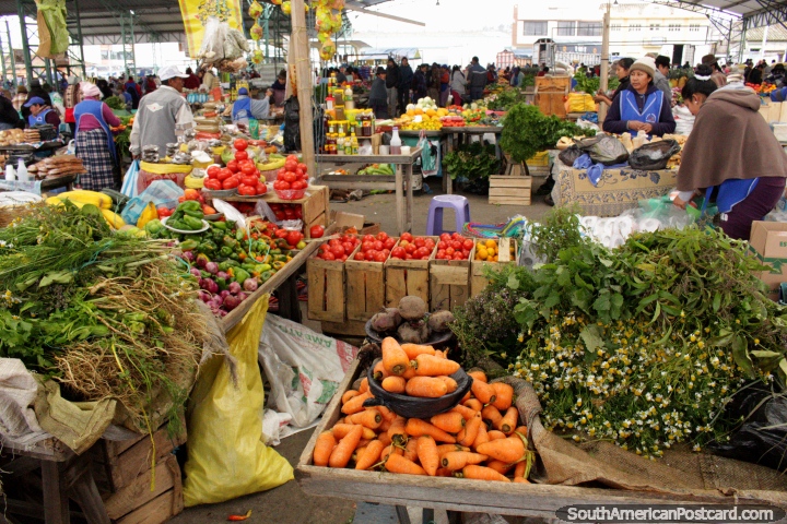 Plaza Kennedy has lots of fresh vegetables to buy at Saquisili. (720x480px). Ecuador, South America.