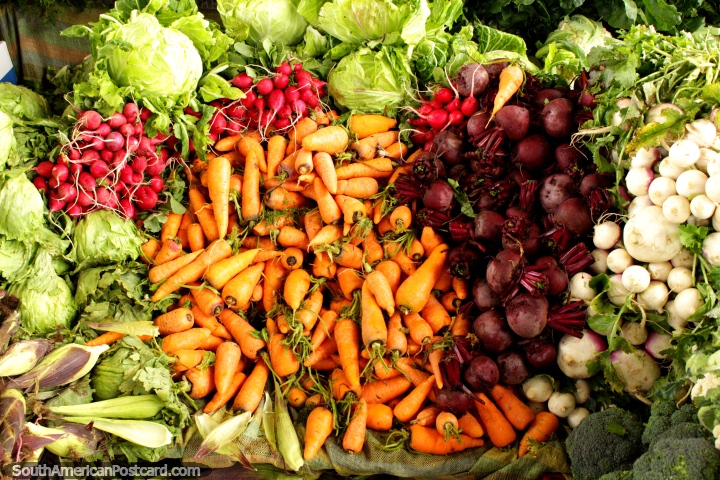Las zanahorias, remolacha, rábano, brócoli y lechuga en el mercado de Saquisilí. (720x480px). Ecuador, Sudamerica.