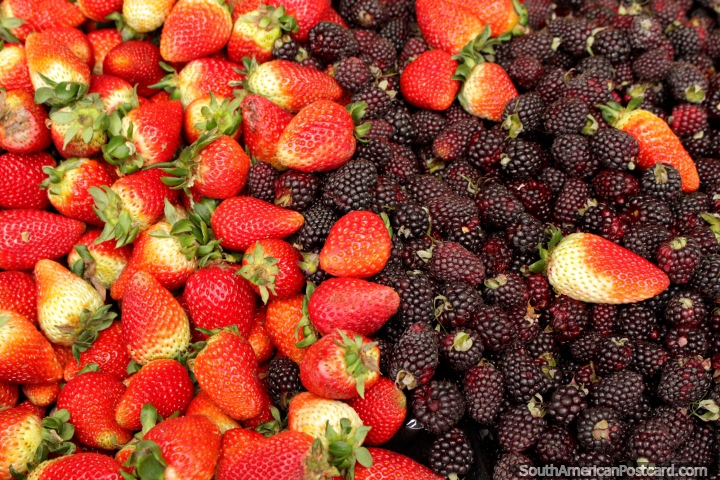 Morangos e boysenberries, ombro a ombro em Praça Kennedy, Saquisili. (720x480px). Equador, América do Sul.
