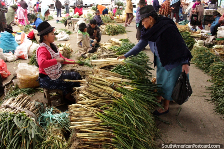 The spring onion department at Saquisili markets, young woman sells to an older woman. (720x480px). Ecuador, South America.