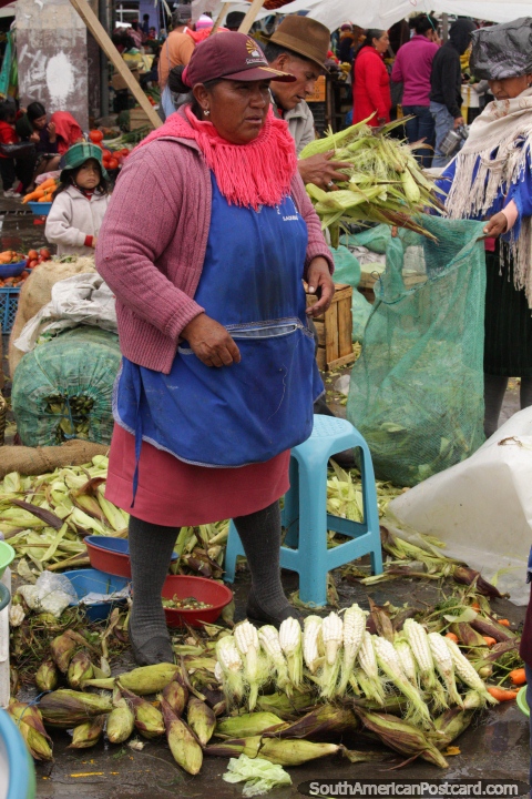The corn people peel the corn and sell it at Plaza Gran Colombia in Saquisili. (480x720px). Ecuador, South America.