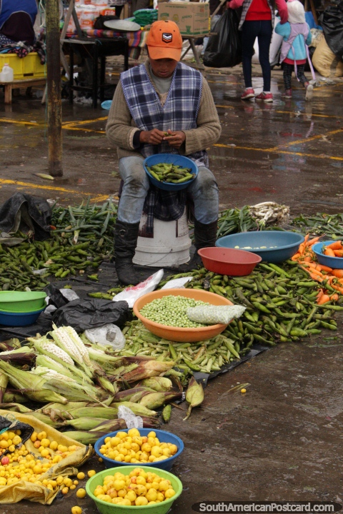 Uma mulher extrai as ervilhas das vagens e vende bolsas de ervilhas no mercado de Saquisili. (480x720px). Equador, América do Sul.