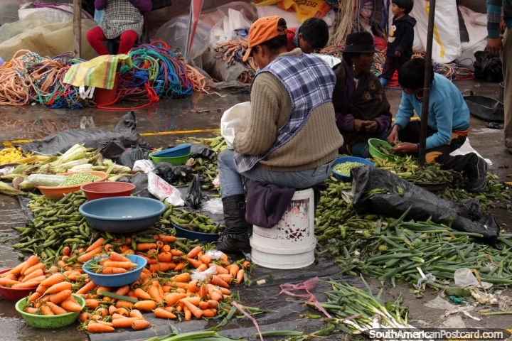 Cenouras crocantes e pessoas que descascam ervilhas em mercado de Saquisili. (720x480px). Equador, América do Sul.