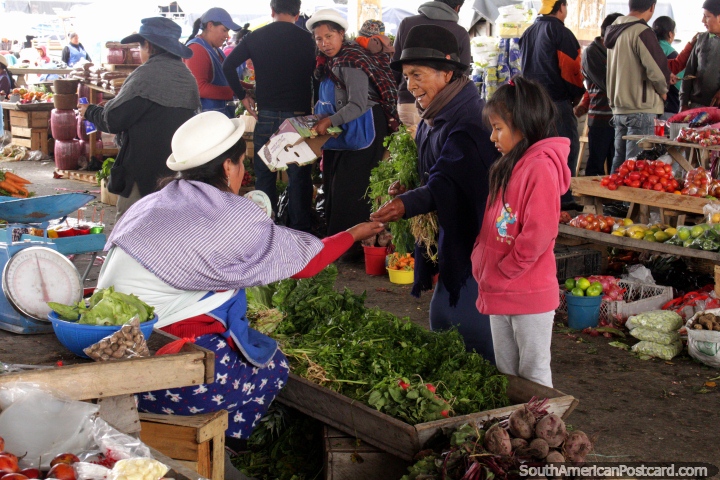 Woman and her granddaughter buy parsley and spinach at Plaza Gran Colombia in Saquisili. (720x480px). Ecuador, South America.