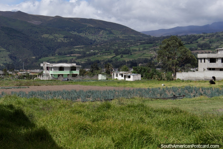 Colinas y tierras de cultivo en Machachi, vista desde la carretera. (720x480px). Ecuador, Sudamerica.