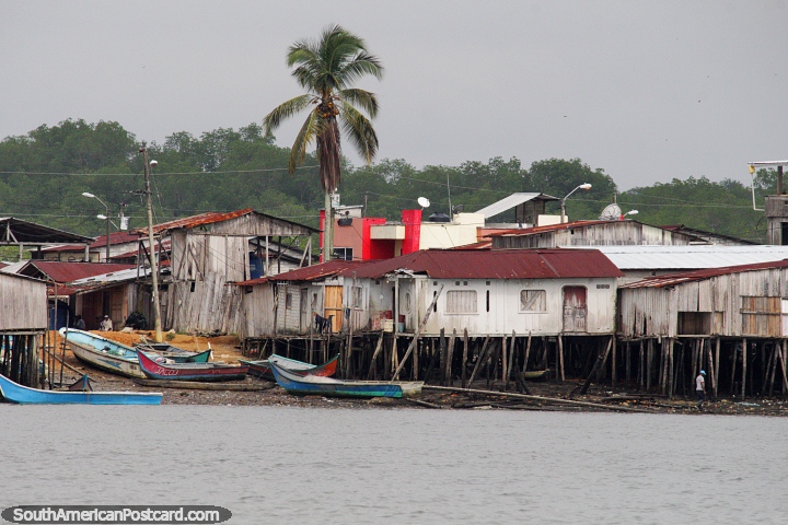 Grupo desvencijado de casas de madera sobre pilotes, con botes y una palmera, costa de San Lorenzo. (720x480px). Ecuador, Sudamerica.