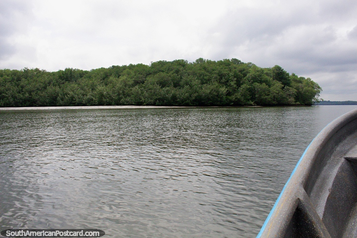 Boat excursion off the coast of San Lorenzo, mangrove country. (720x480px). Ecuador, South America.