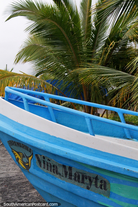Barco azul al lado de una pequeña palmera en la playa en Mompiche. (480x720px). Ecuador, Sudamerica.