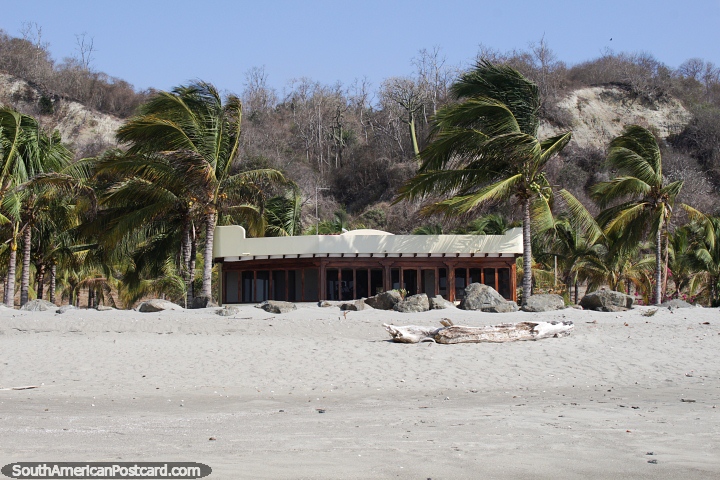 A casa na praia fantástica rodeia-se de palmeiras em El Matal perto de Jama. (720x480px). Equador, América do Sul.