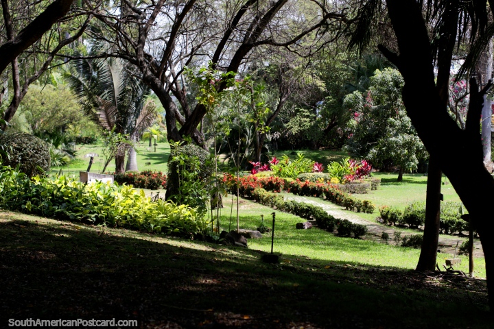 Belo espaço aberto verde nos jardins botânicos em Portoviejo. (720x480px). Equador, América do Sul.