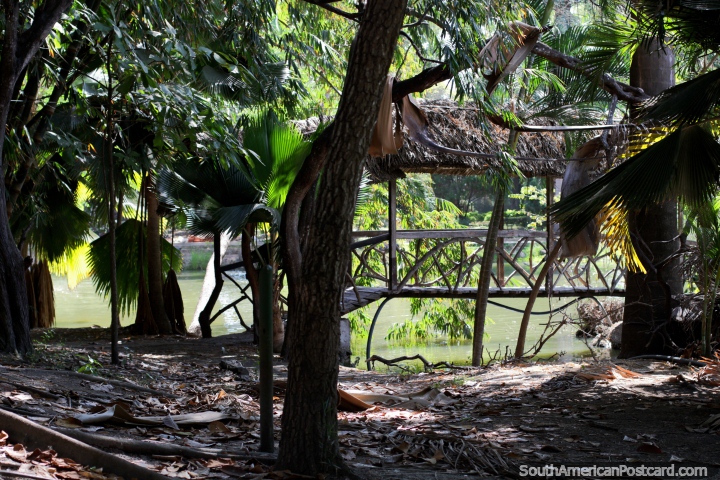 Ponte junto do tanque e sombra de fetos e rvores nos jardins botnicos, Portoviejo. (720x480px). Equador, Amrica do Sul.