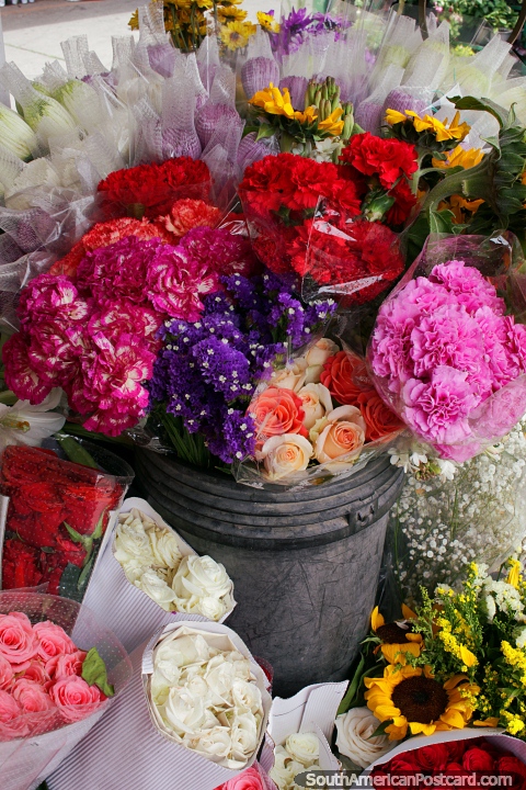Buqus de belas flores de venda em Mercado de Gran Colmbia em Loja. (480x720px). Equador, Amrica do Sul.