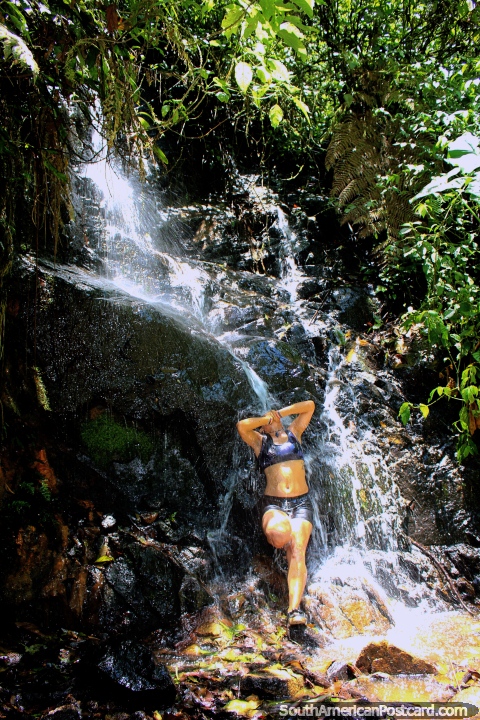 Acalme-se nas águas de cachoeiras no parque nacional Podocarpus na Zamora. (480x720px). Equador, América do Sul.