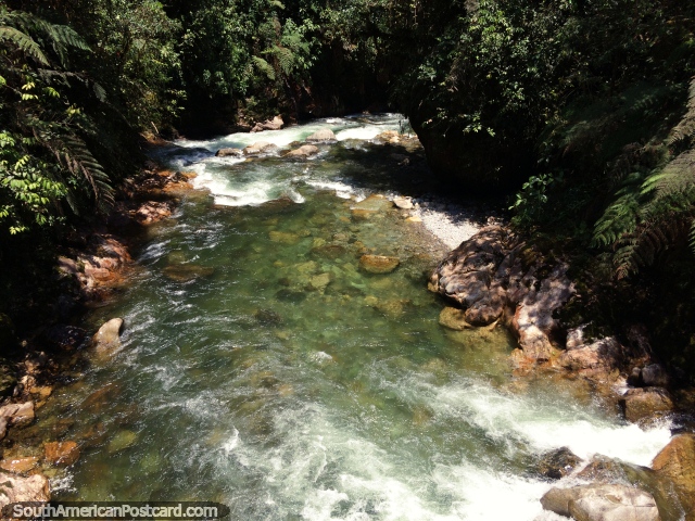 Río Bombuscaro en el Parque Nacional Podocarpus, vista desde el puente El Campesino. (640x480px). Ecuador, Sudamerica.