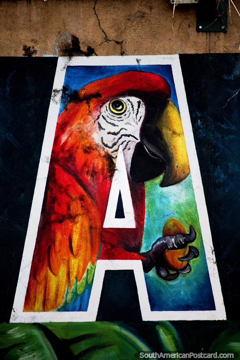 Red macaw, the first letter A in Yantzaza at the new malecon. (480x720px). Ecuador, South America.