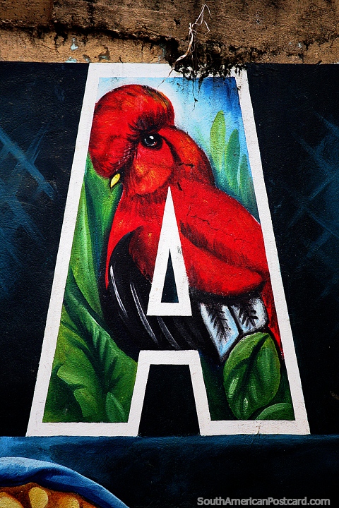 Cock of the Rock, exotic bird, the 3rd letter A in Yantzaza, mural at malecon. (480x720px). Ecuador, South America.
