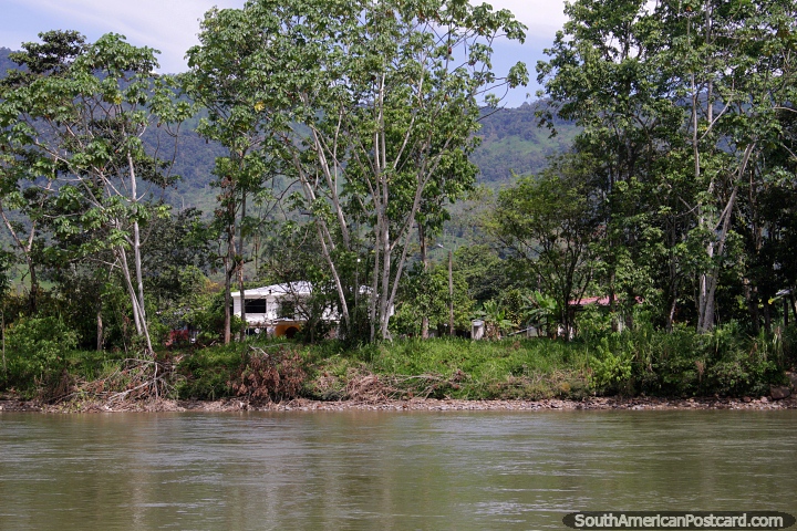 House in a beautiful setting under tall trees beside the river in Yantzaza. (720x480px). Ecuador, South America.