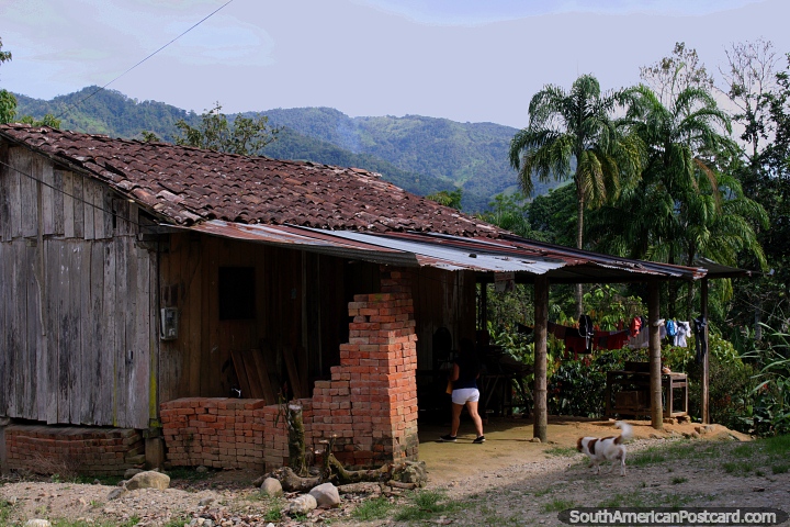 Casa de madeira com telhado coberto com telhas, palmas e colinas, mato que vive em Yantzaza. (720x480px). Equador, América do Sul.
