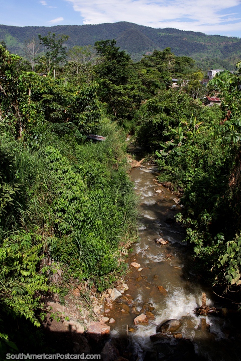 O pequeno rio que passa por Yantzaza pelo malecon e logo ao Rio de Zamora. (480x720px). Equador, América do Sul.