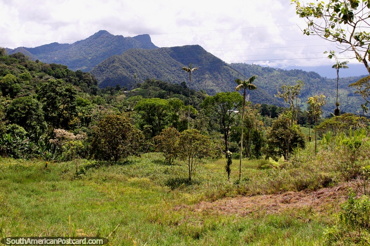 Belas montanhas, colinas e zona rural verde ao norte de Gualaquiza. (720x480px). Equador, América do Sul.