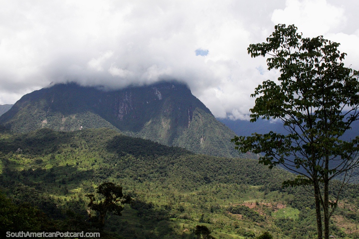 Huge mountain between Tucumbatza and San Juan Bosco, north of Gualaquiza. (720x480px). Ecuador, South America.