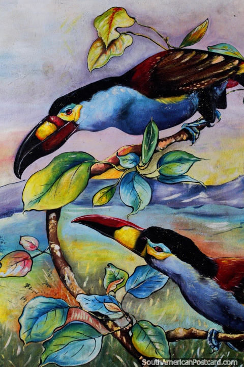 Pareja de tucanes exóticos, aves en la naturaleza, mural en Limón. (480x720px). Ecuador, Sudamerica.