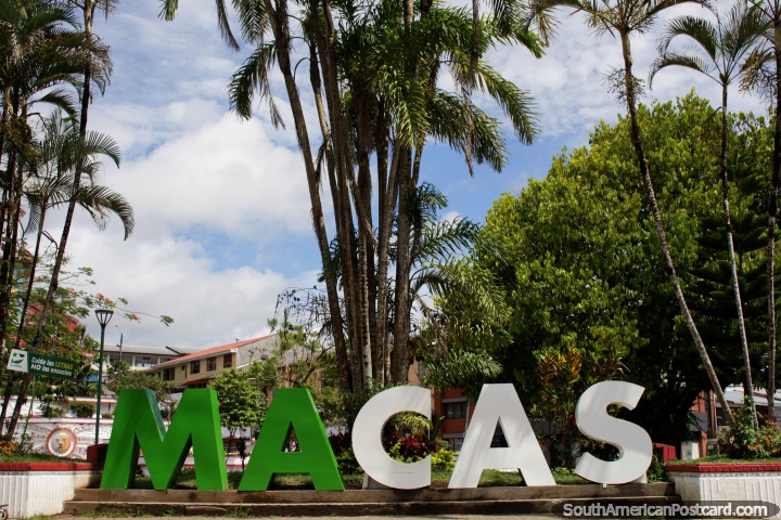 Seja bem-vindo a Macas, grande sinal e palmeiras no Parque central. (720x480px). Equador, América do Sul.