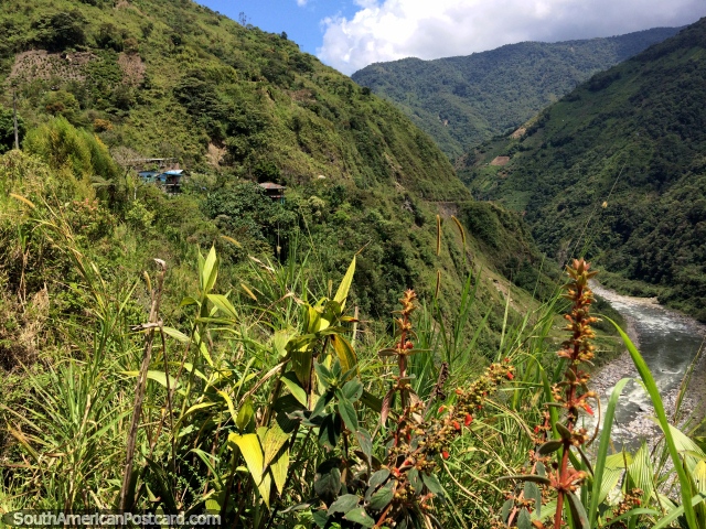 Alquile una bicicleta en Banos y vaya cuesta abajo a travs de un increble campo verde y prstino. (640x480px). Ecuador, Sudamerica.