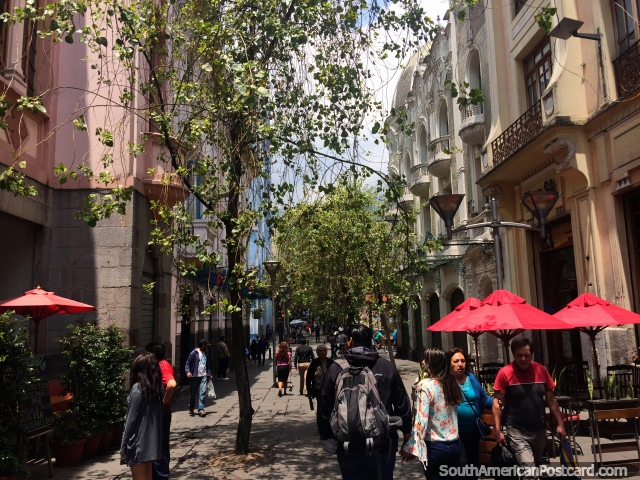 Beautiful passageway for pedestrians in central Quito with cafes, trees and historic buildings. (640x480px). Ecuador, South America.