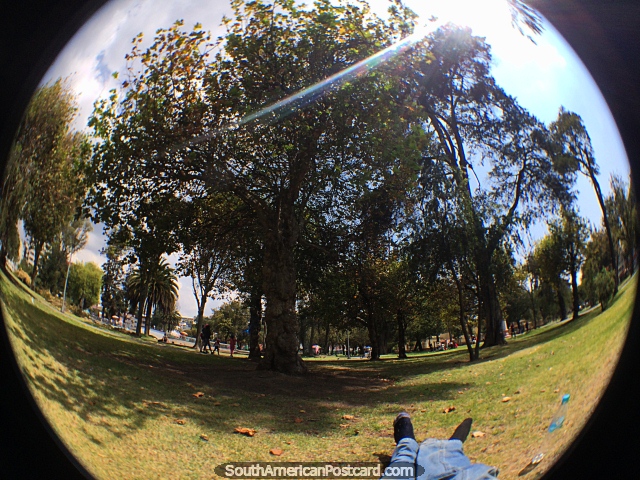 La Alameda Park in Quito is a great place to relax under trees, a city of many good parks. (640x480px). Ecuador, South America.