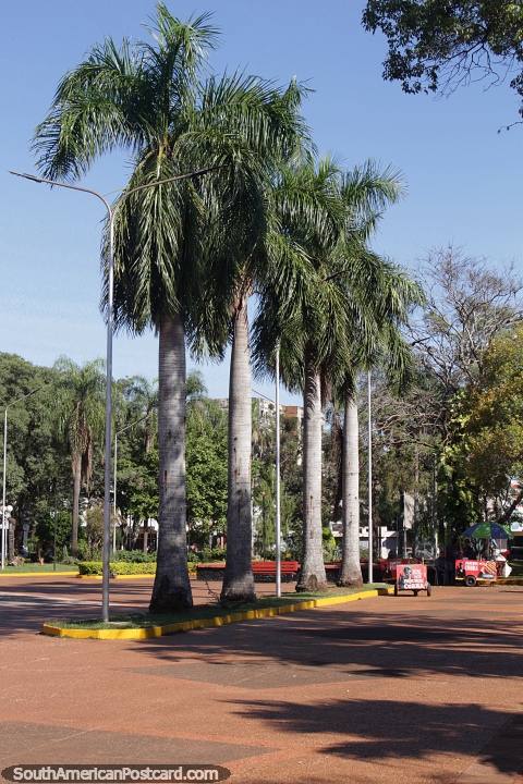 Many trees including palms around the Plaza de Armas in Encarnacion. (480x720px). Paraguay, South America.