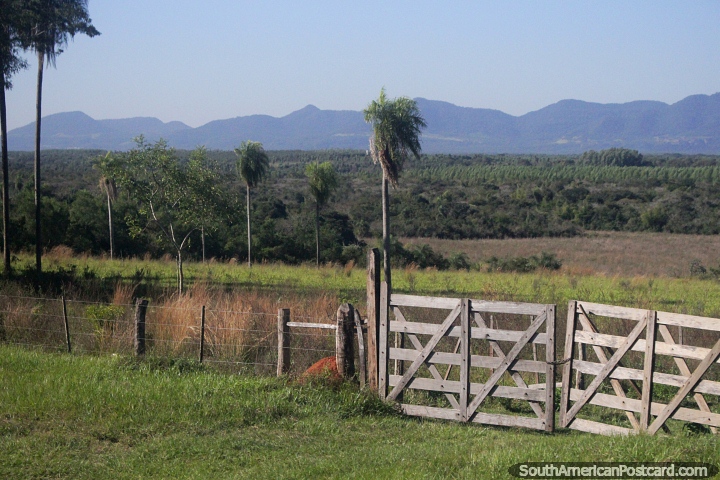 Distant mountains, palm trees, forest, farm gate and anthill, beautiful scenery north of Numi. (720x480px). Paraguay, South America.